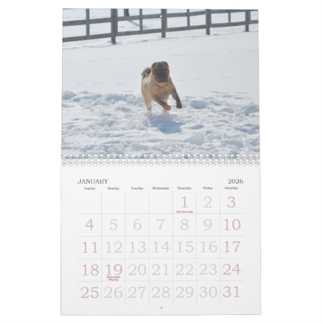 Chinese Shar-pei Calendar (Jan 2026)
