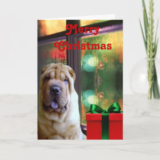 Chinese Shar-pei Christmas Cards