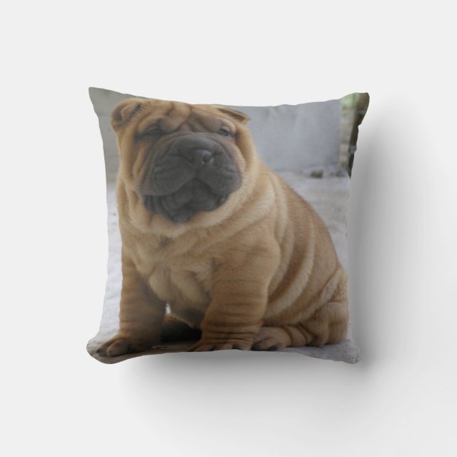 CHiNESE ShAR PEi Cushion (Front)