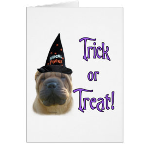 Chinese Shar-Pei Trick