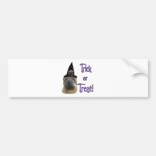 Chinese Shar-Pei Trick Bumper Sticker