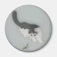 Chinese Silk Cat Picture