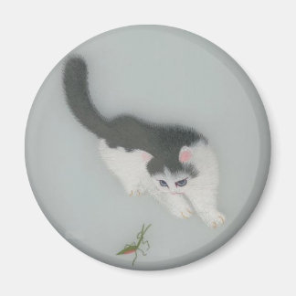 Chinese Silk Cat Picture Magnet