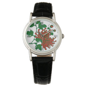 Chinese spider chrysanthemums - deep red watch