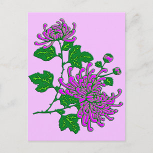 Chinese spider chrysanthemums - lavender postcard