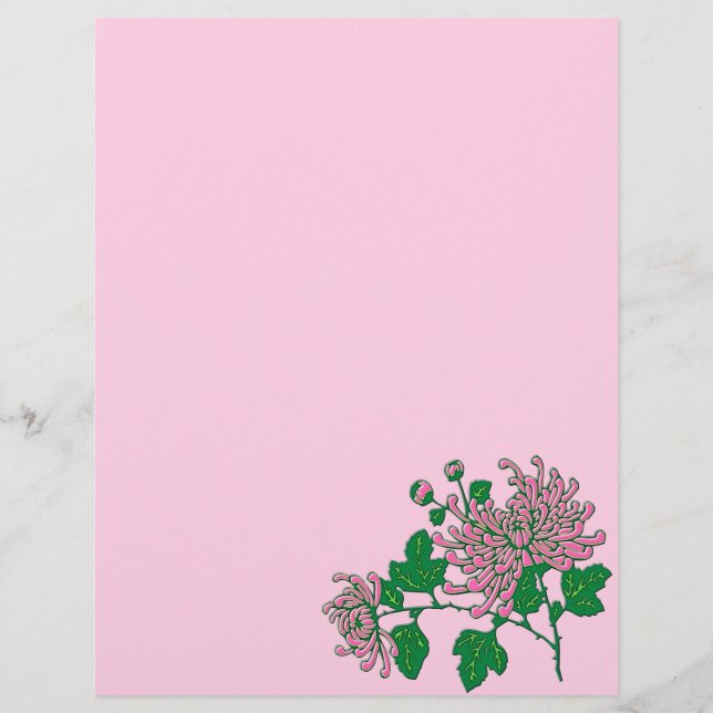 Chinese spider chrysanthemums, soft pink (Front)