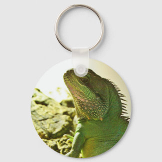 Chinese Water Dragon Key Ring