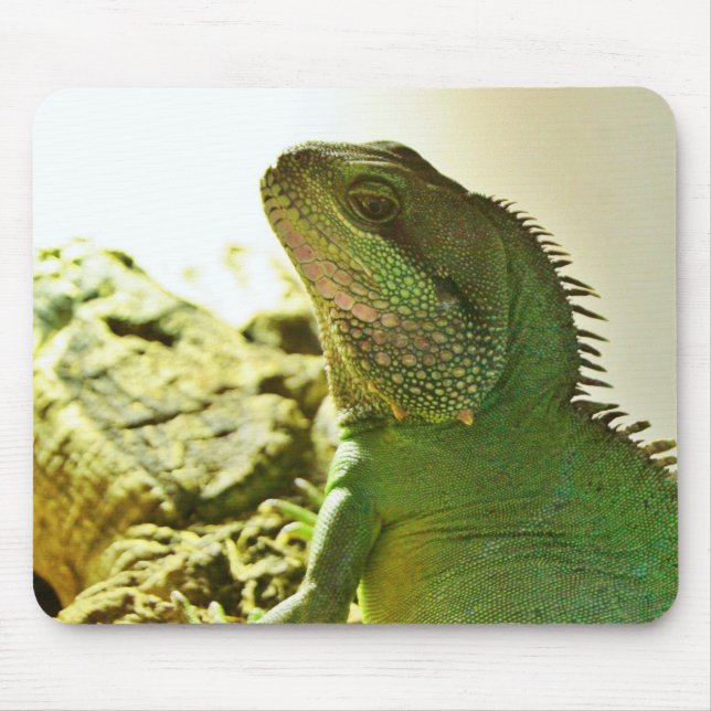 Chinese Water Dragon Mouse Pad (Front)
