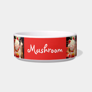 Chinese Waving Cat Photo Custom Name Pet Cute Bowl