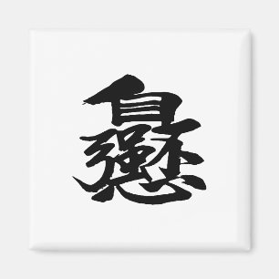 Chinese Words Characters Magnets Square