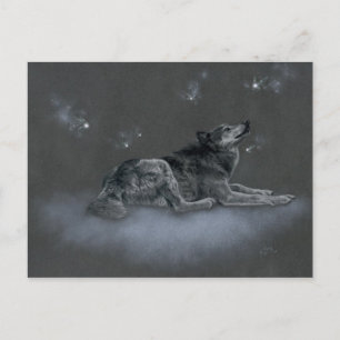 Chinook aux Fées Postcard