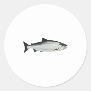 Chinook - King Salmon Classic Round Sticker