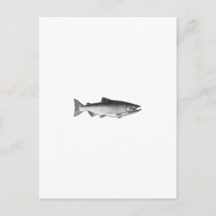 Chinook - King Salmon Logo (black and white) Postcard