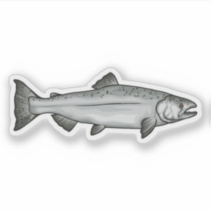 Chinook Salmon Ocean Phase illustration