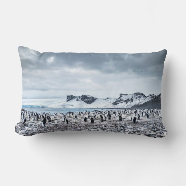 Chinstrap Penguin Colony Landscape Lumbar Cushion (Front)