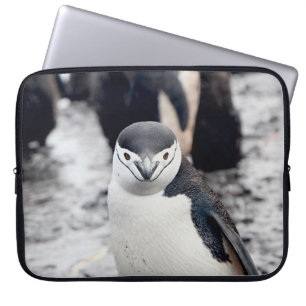 CHINSTRAP PENGUIN LAPTOP SLEEVE