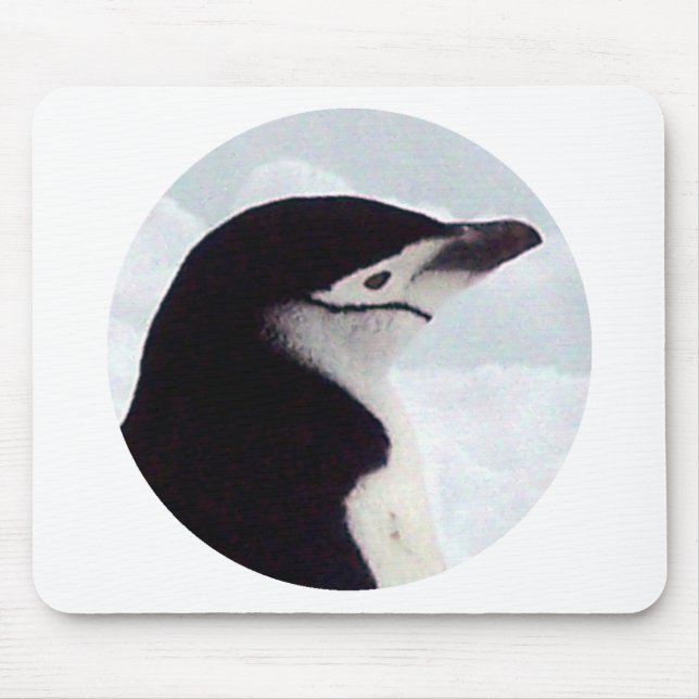 Chinstrap Penguin Portrait Mouse Pad (Front)