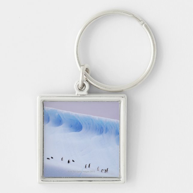 Chinstrap Penguin, South Orkney Islands Key Ring (Front)