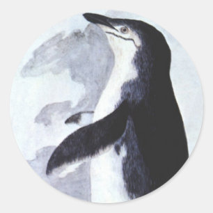 Chinstrap Penguin, Vintage Birds from Antarctica Classic Round Sticker