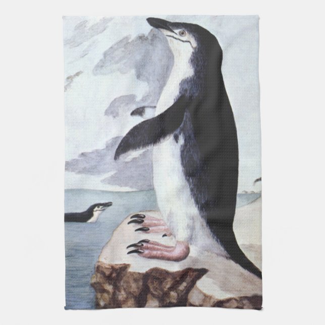 Chinstrap Penguin, Vintage Birds from Antarctica Tea Towel (Vertical)