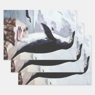 Chinstrap Penguin, Vintage Birds from Antarctica Wrapping Paper Sheet