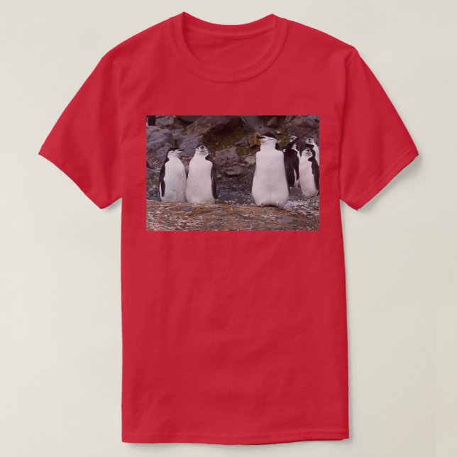 Chinstrap Penguins Aerobics Workout T-Shirt (Design Front)