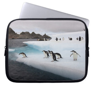 Chinstrap Penguins Laptop Sleeve