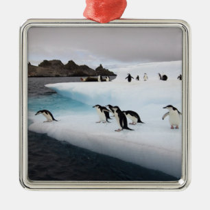 Chinstrap Penguins Metal Tree Decoration