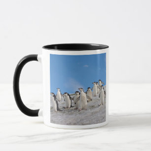 Chinstrap Penguins Pygoscelis Antarctica Mug
