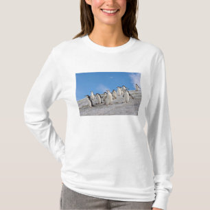 Chinstrap Penguins   Pygoscelis Antarctica T-Shirt