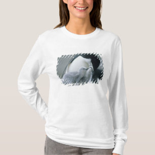 Chinstrap Penguins, Pygoscelis antarctica), T-Shirt