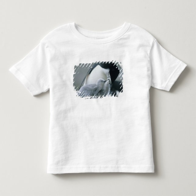 Chinstrap Penguins, Pygoscelis antarctica), Toddler T-Shirt (Front)