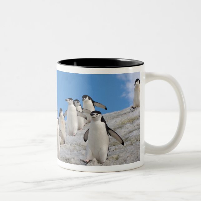 Chinstrap Penguins | Pygoscelis Antarctica Two-Tone Coffee Mug (Right)