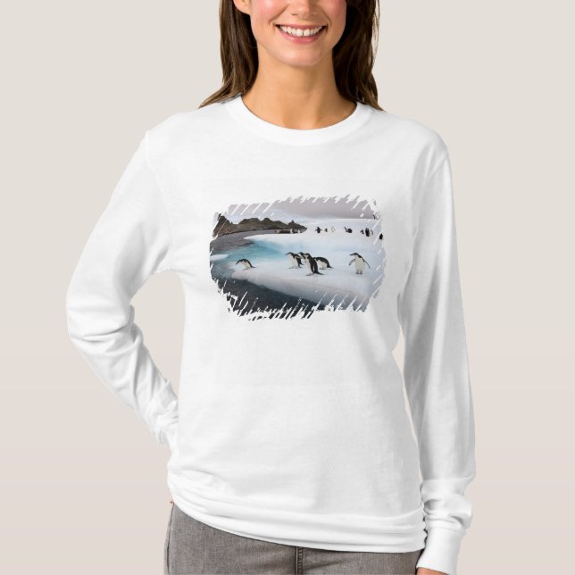 Chinstrap Penguins T-Shirt (Front)