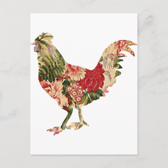 Chintz Chicken Postcard (Front)