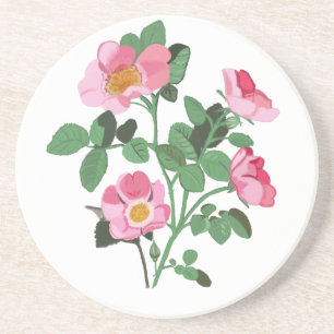 Chintzy Dark Pink Wild Rose Coaster