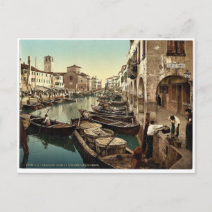 Chioggia, fish market, Venice, Italy vintage Photo Postcard