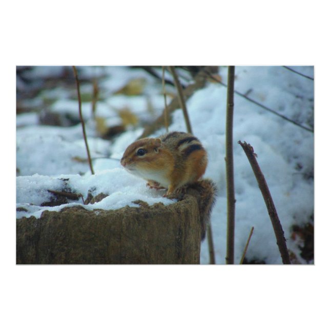 Chipmonk in Snow Poster (Front)