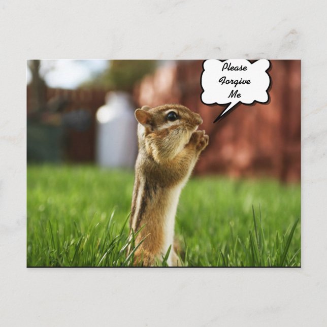 Chipmun Praying Plese Forgive Me Postcard (Front)