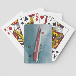 chipmunk aeroplane playing cards