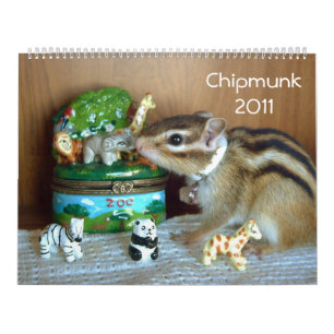 chipmunk (All country) Calendar