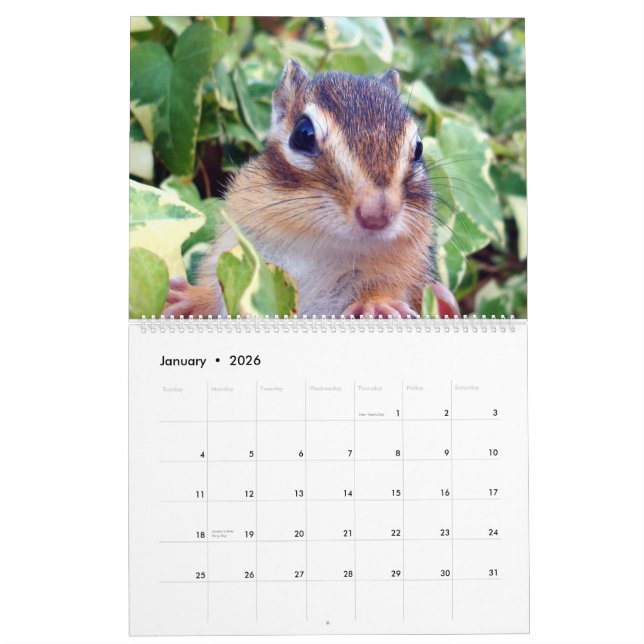 chipmunk (All country) Calendar (Jan 2026)