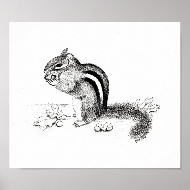 Chipmunk and Acorns Poster (Front)