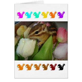 Chipmunk and flower (pohto)　type-5