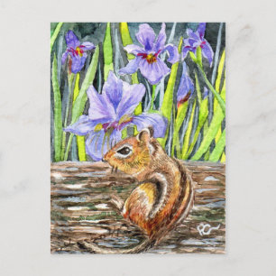 Chipmunk and Irises Postcard
