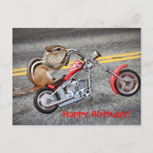 Chipmunk Biker Riding a Motorcycle Postcard (Front)