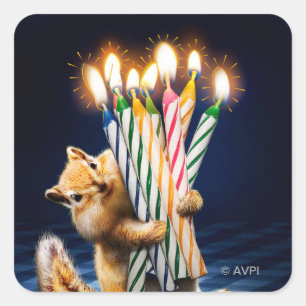 Chipmunk Birthday Candles Square Sticker