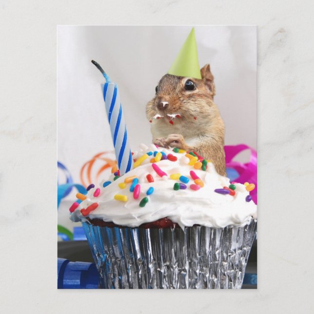 chipmunk birthday celebration postcard (Front)