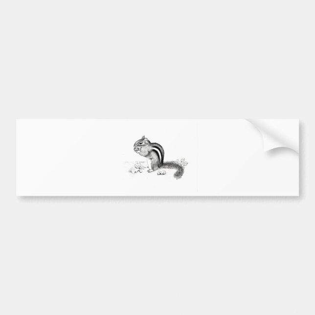 Chipmunk Bumper Sticker (Front)