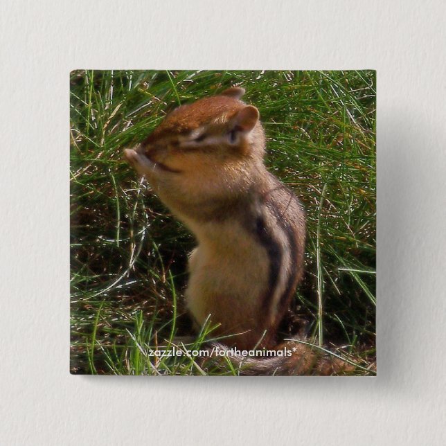 Chipmunk -Button 15 Cm Square Badge (Front)